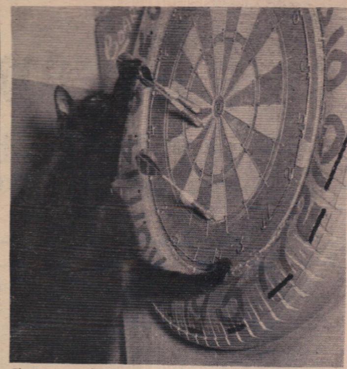 15 April 1966 Sooty is quick on the draw