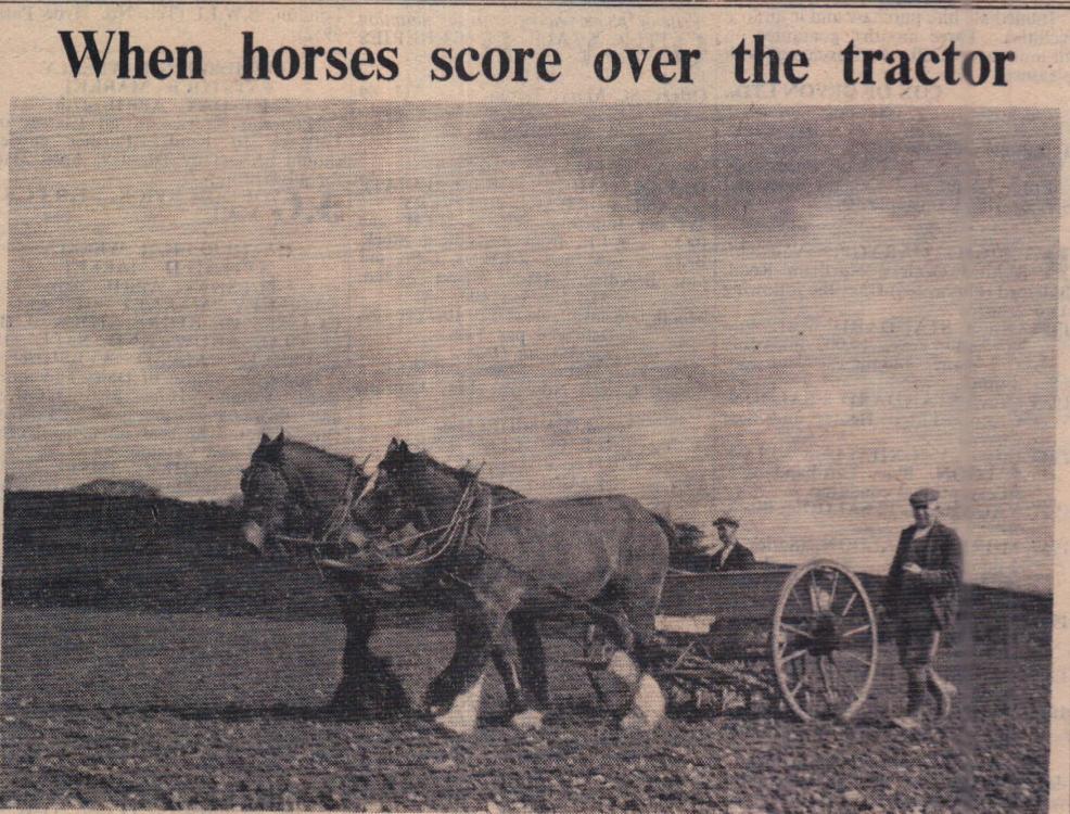 17 April 1959 When horses score over the tractor