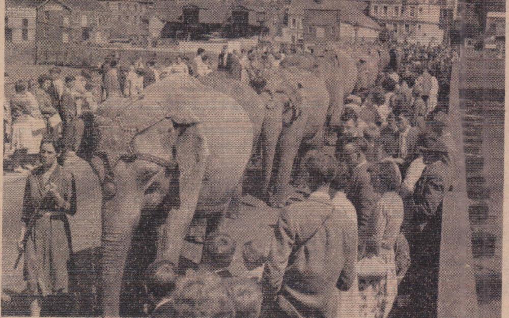 23 June 1961 Circus comes to town