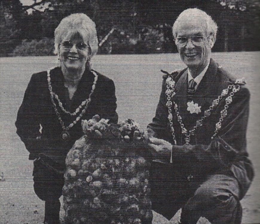 Oct 2000 Bideford bulbs Deakes Fields of Hope daffodils Curie