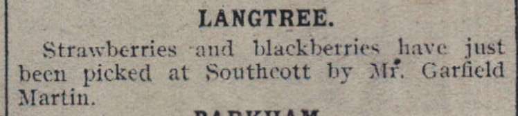 17.12.1918 Langtree